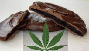 Girls Scouts in Colorado Selling Marijuana Thin Mints