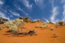 Natalie Tran Engaged Lost outback