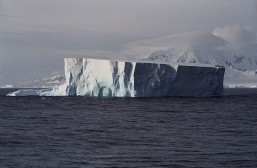 800px-Antarctic,_iceberg_(js)_10