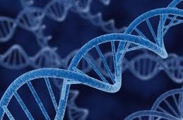 Message From God Found Hidden Inside DNA Sequence
